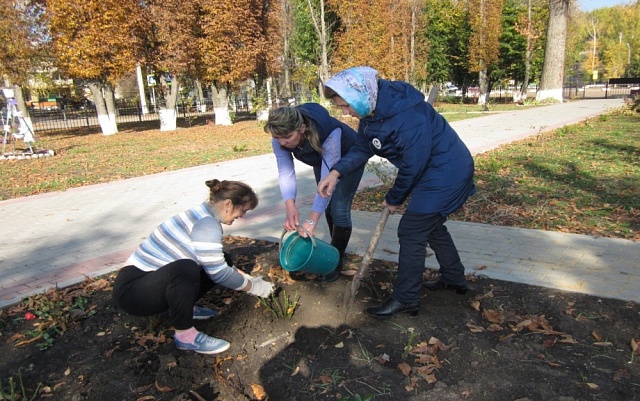 Посадили розы.